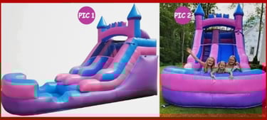 PINK/PURPLE SINGLE SLIDE DRY OR WET WITH POOL. Bookings 832-216-8423