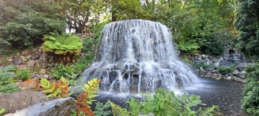 The Iveagh Gardens, Dublin