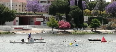 Athletes swimming in an open water race on a river with safety boats and blooming purple trees.
