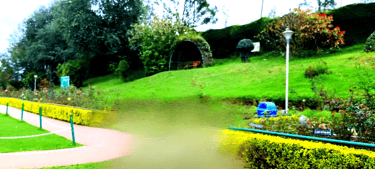 An image of the Rose Garden