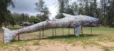 thailand khao lak turtle conservation centre beach whale