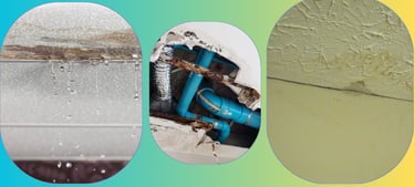 اضرار تسربات المياه