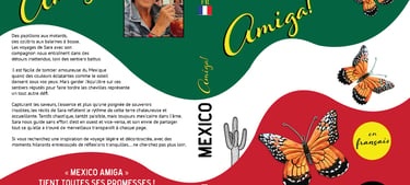 French book cover for "Mexico Amiga!"