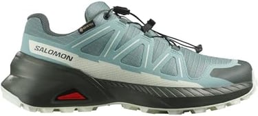 A blue Salomon Gore-Tex trail running shoe with black soles and quick-lace system.