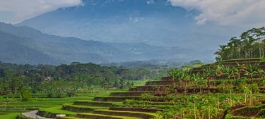 pengacara perdata di Magelang