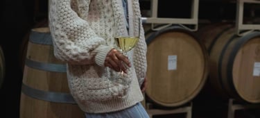 uvin craft wine u-vin