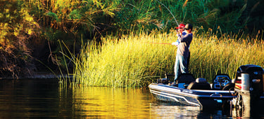 fishing in Lake Havasu City