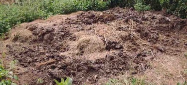 Sun-dried cow dung prepared in India for making natural cow dung powder used in organic farming worldwide.
