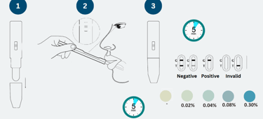 Step-by-step instructions for using a saliva alcohol rapid test kit showing swab collection and result reading.