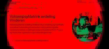 Voksenpsykiatrisk avdeling Vinderen, diakonhjemmet sykehus, Ragnar Nesvåg, Statsforvalteren oslo