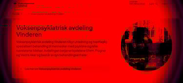 Statsforvalteren oslo, Voksenpsykiatrisk avdeling Vinderen, diakonhjemmet sykehus, Ragnar Nesvåg