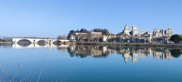 View of the Pont d'Avignon and the Palais des Papes from the Île de la Barthelasse