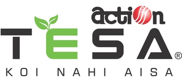 wooden flooring in faridabad