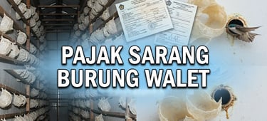 Edible bird's nest farm harvest with official Pajak Sarang Burung Walet tax documents.