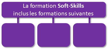 AIP, Association, RSA, PLIE, SIAE, Formation, conseiller numérique, Mitry Mory, Chelles, Fle, Emploi, Soft Skills, langue, ap
