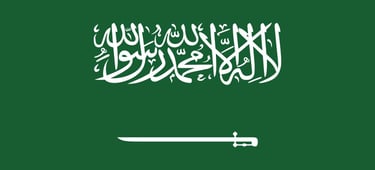 saudi arabia customer success