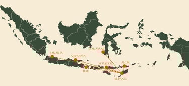 a map of indonesia