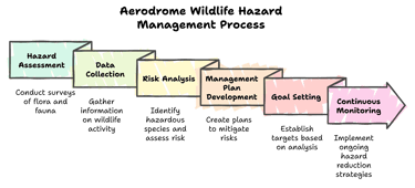 A graphical diagram displaying the Aerodrome wildlife hazards management process