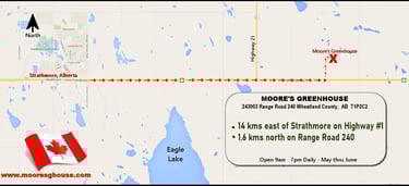 MAP TO MOORE'S GREENHOUSE