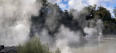 Mud Pool Rotorua