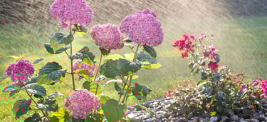 Irrigation repair company