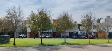 Carpintería fraccionamiento