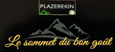 logo plazerekin