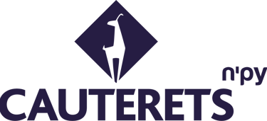 logo cauterets représentant un isard bleu