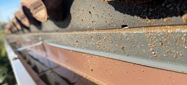 Clean residential gutter after professional gutter cleaning in Fresno CA by Spartan Home Services