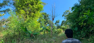 Private Spice Consultant | Indieast