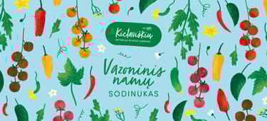 Kietaviškių vazoninių augalų iliustracijos – stilizuoti pomidorai, paprikos, agurkai ir čili viename kadre.