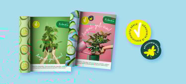 Kietaviškių sodinukų pakuočių dizaino iliustracijos spaudos maketuose – žurnalų vizualizacija.