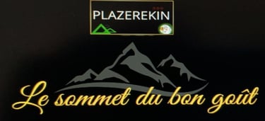 logo plazerekin