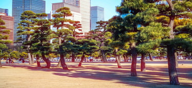 Tokyo Cinematic
