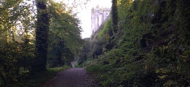 Finn's Footprints Travel Blog for Ireland Trip