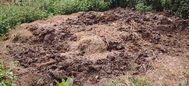 Sun-dried cow dung prepared in India for making natural cow dung powder used in organic farming worldwide.