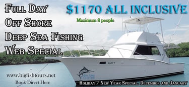 Big Fish Tours promotional graphic for a Full Day Off Shore Deep Sea Fishing Special. The image feat