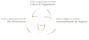 Elemento visual das três dimensões interdependentes Áureas Consulting