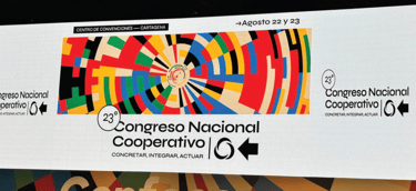 boletin informativo agosto