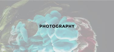 Photography