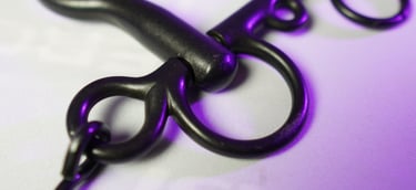 bit and bridle