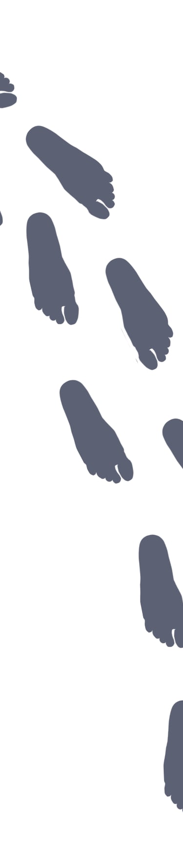 Gray trail of bare footprints walking across a white background in an unsteady pattern