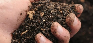 bonne terre ou mauvaise terre ?