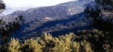 The highest point in the Carmel hills (το ψηλότερο σημείο της λοφοσειράς)