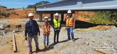 Environmental Audit