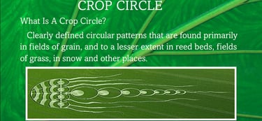 What is a Crop Circle