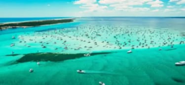 crab-island