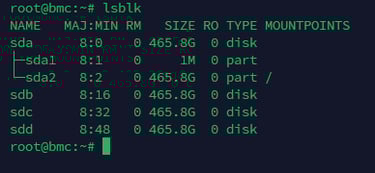 lsblk output