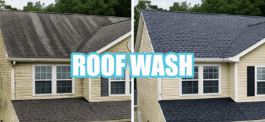 Roof Washing | Albemarle, NC