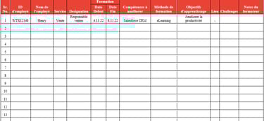 Plan de développement des compétences excel : modèle avec programme de formation
